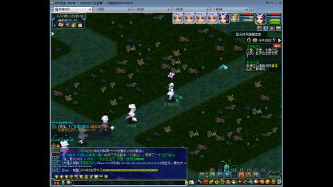 九五至尊从零起号到飞升全满开区77天