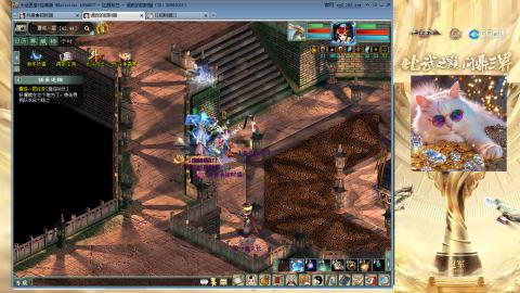 毒十女人欢迎踢馆