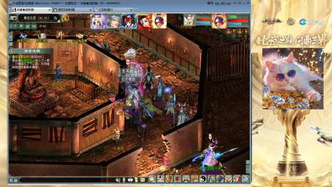 毒十女人欢迎踢馆