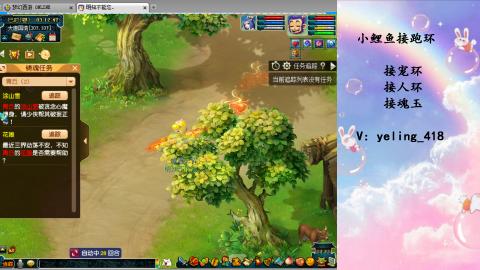 接命魂之玉 人环 宠环