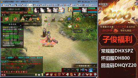 <2026>新手码：DHXSPZ