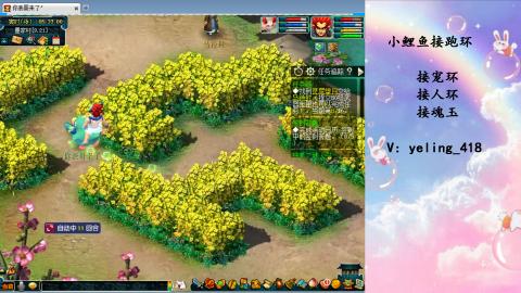 接命魂之玉 人环 宠环