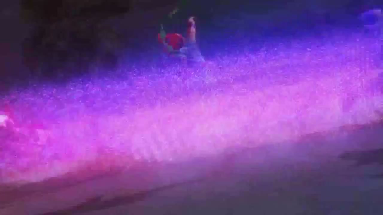 梦幻西游动画片第一季第3集