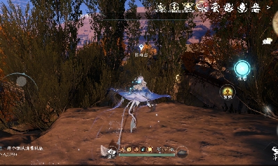 欢迎来看我的直播～