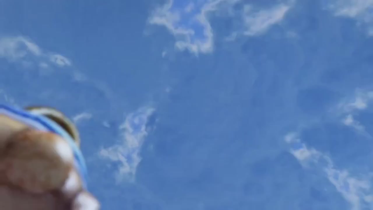 梦幻西游动画片第一季第10集