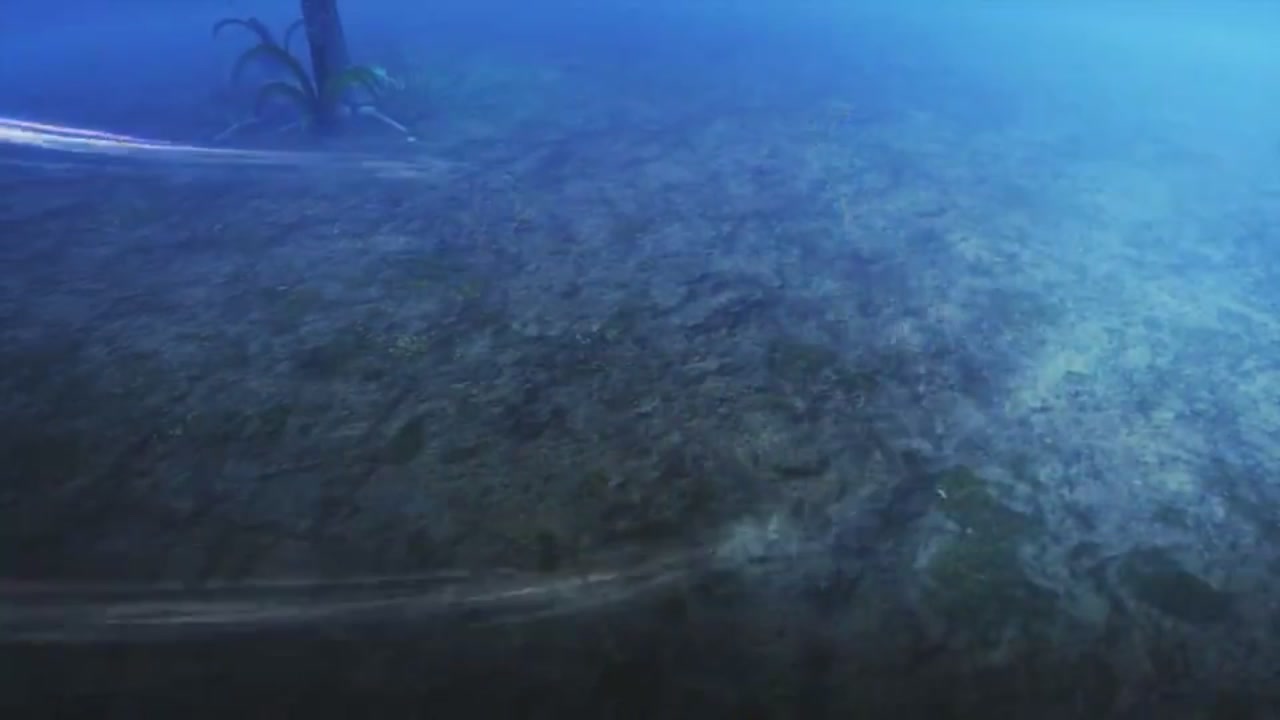 梦幻西游动画片第一季第1集