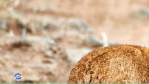 只希望我能带给你们快乐