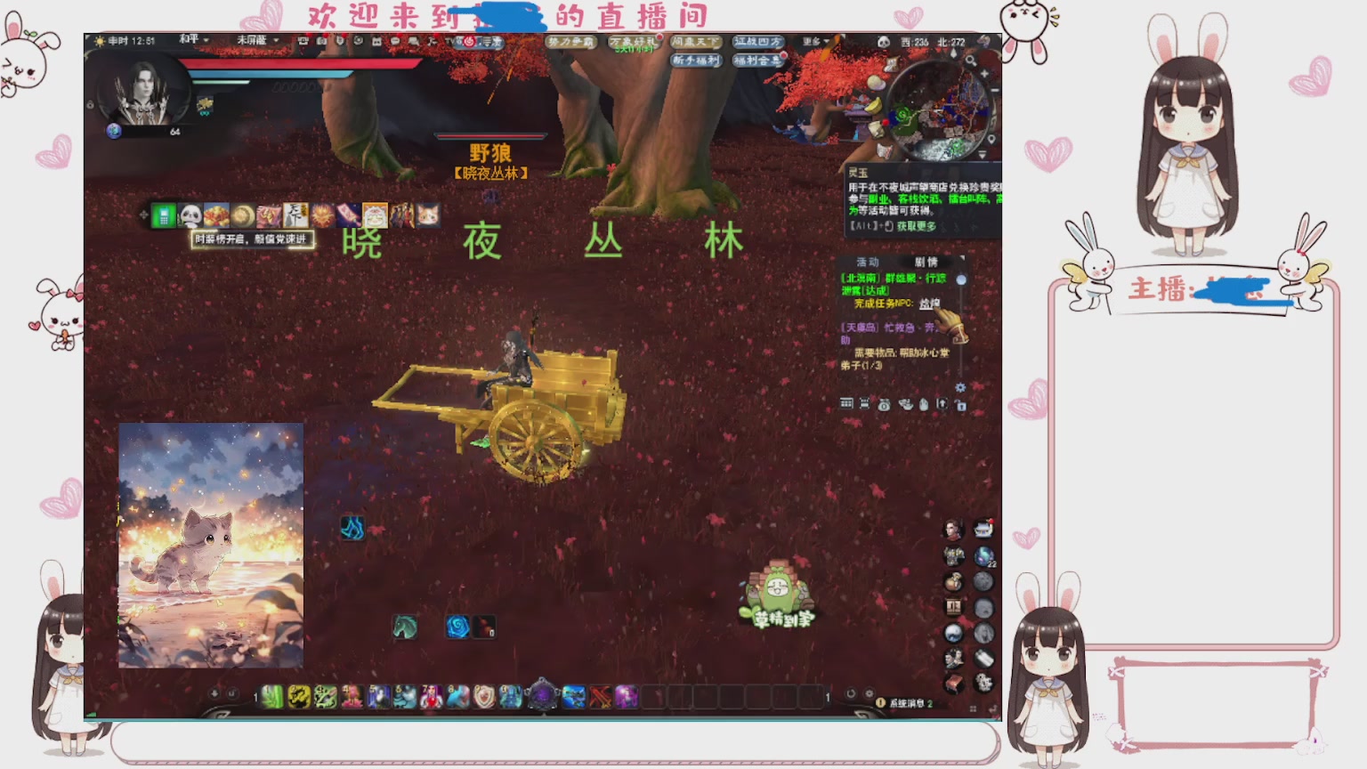 卿梦安心的直播间