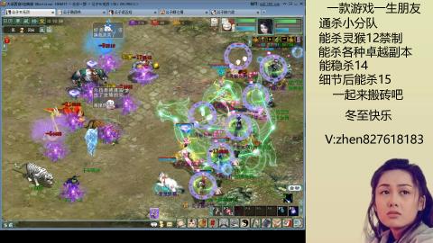 无属性双盘小分队