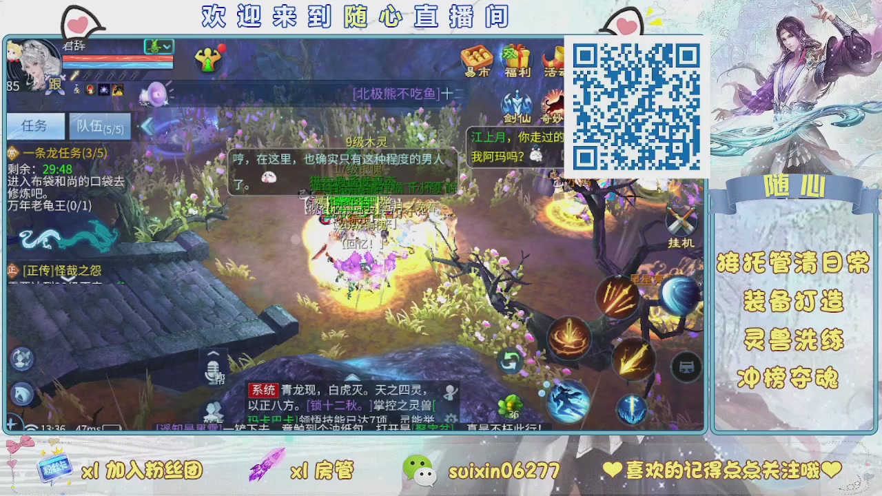 接升级，托管，打造，夺魂，看好改号