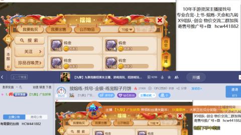 接熔练-找号-金银-练宠粽子月饼