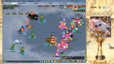 毒十女人欢迎踢馆