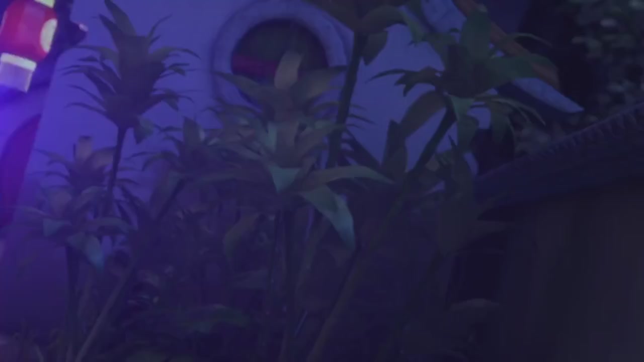 梦幻西游动画片第二季第4集