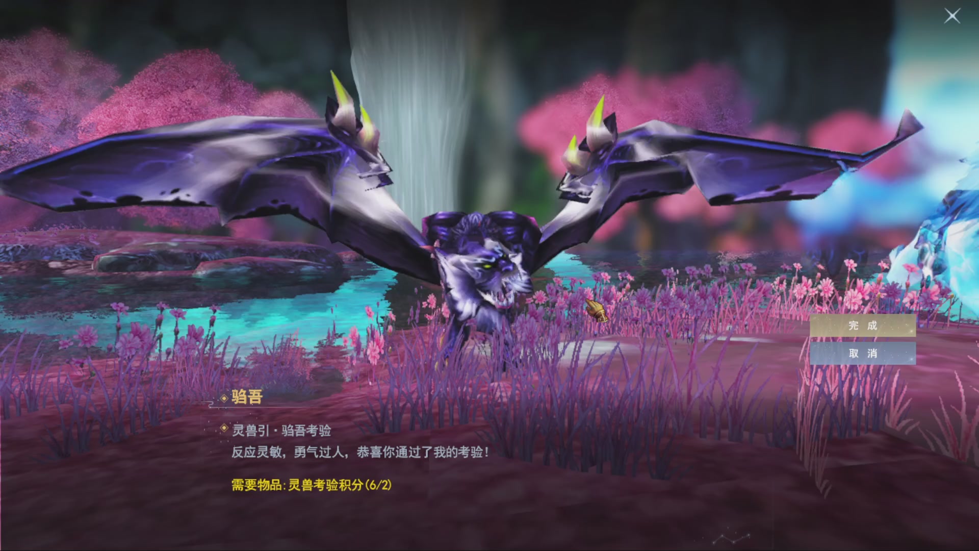 沉迷直播，无法自拔