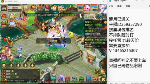 接九转蜃境托管~