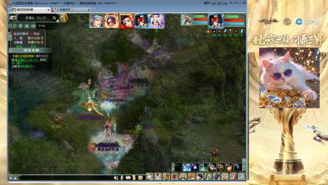 毒十女人欢迎踢馆