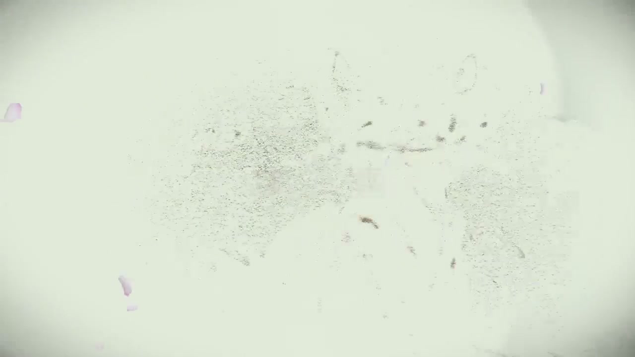 梦幻西游动画片第四季第11集