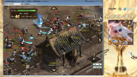 毒十女人欢迎踢馆