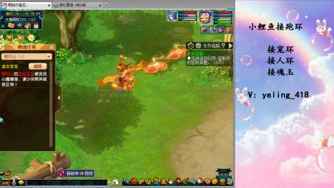 接命魂之玉 人环 宠环