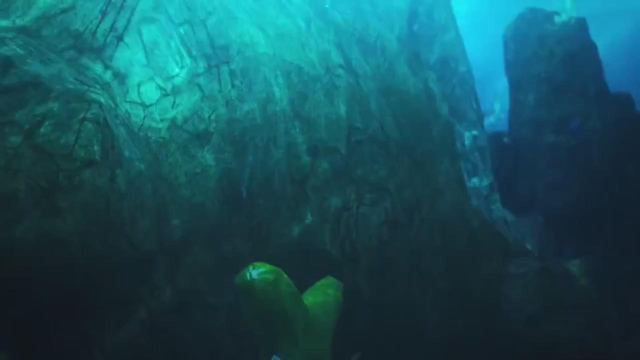 梦幻西游动画片第一季第10集