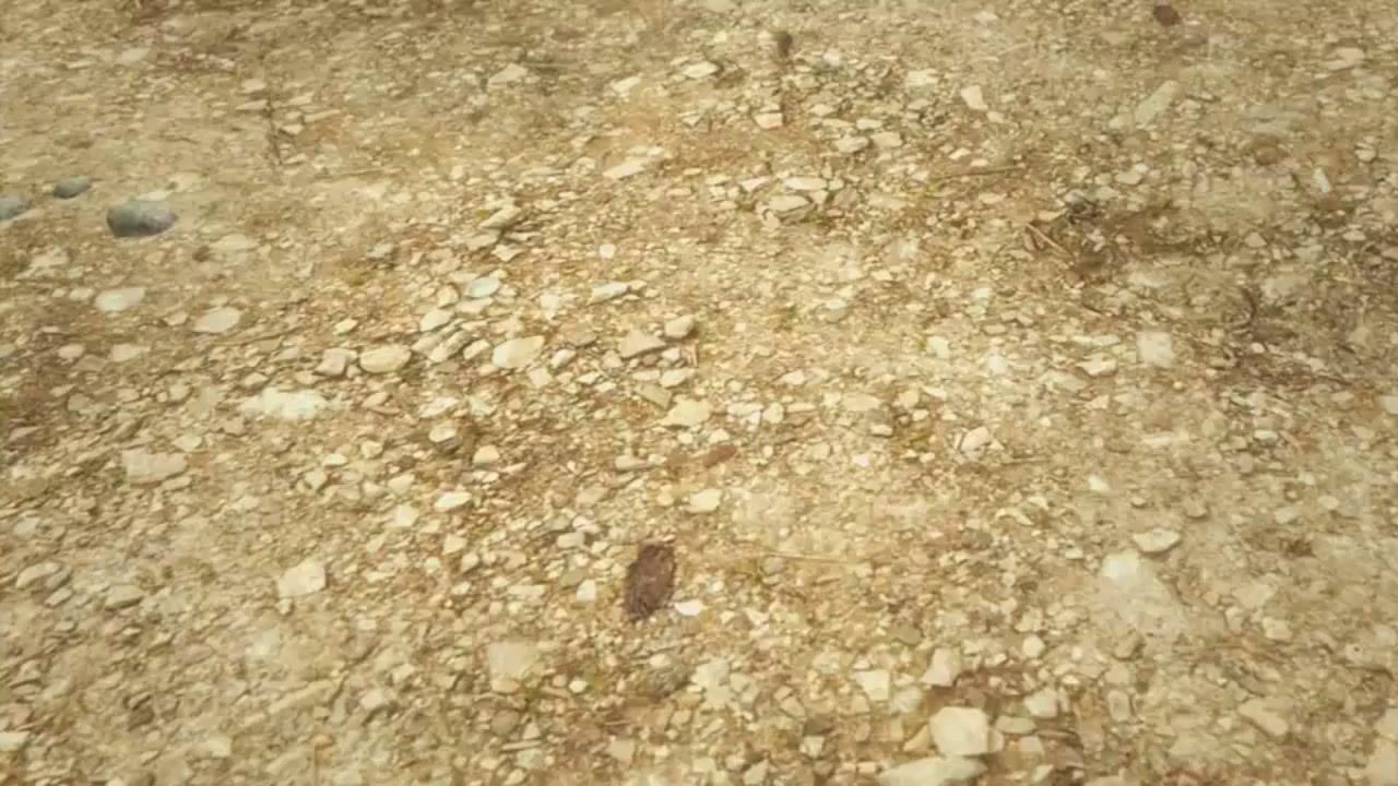 梦幻西游动画片第一季第8集