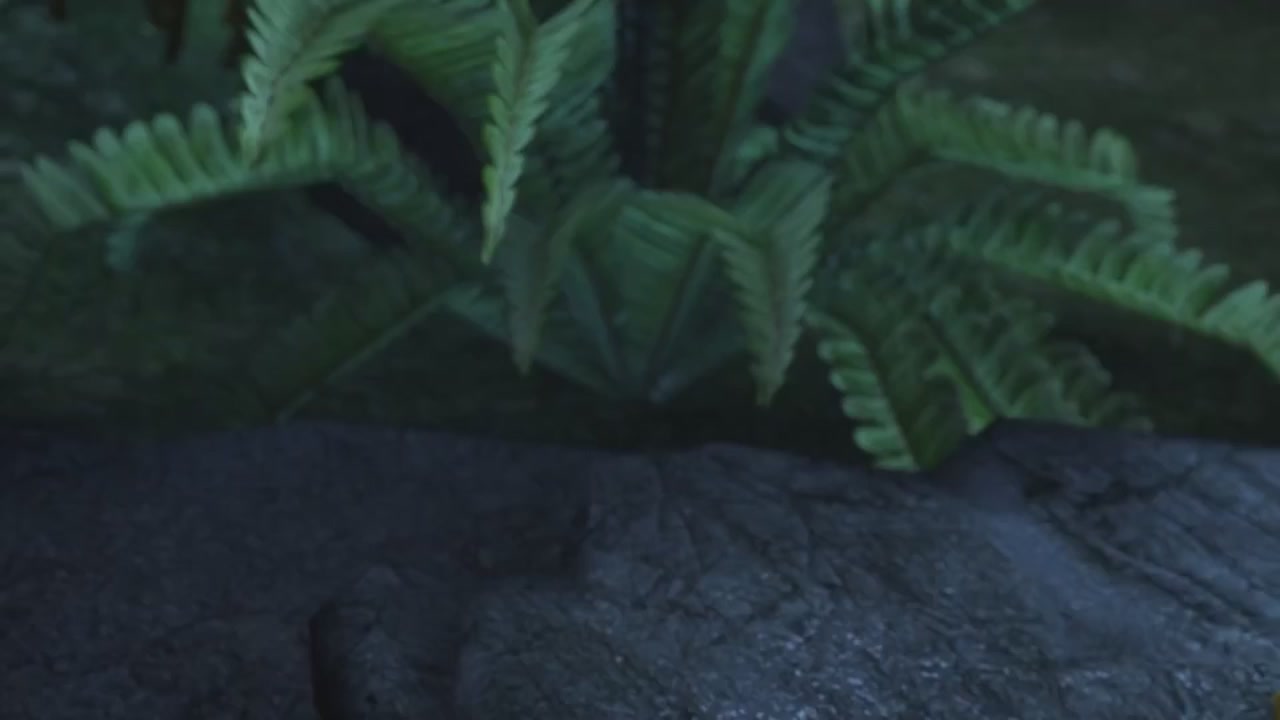 梦幻西游动画片第二季第4集