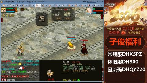 <2026>新手码：DHXSPZ