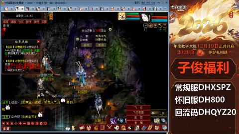 <2026>新手码：DHXSPZ