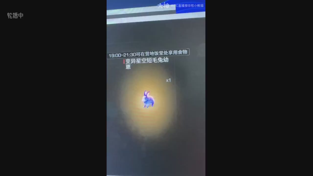 高校卡层CC时装加v回放轮播