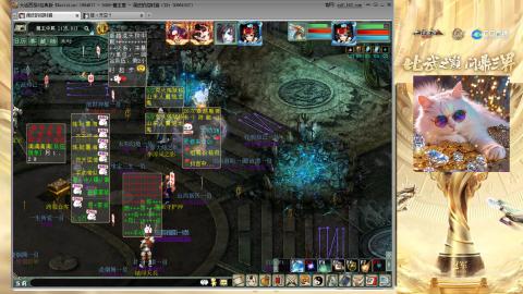 毒十女人欢迎踢馆