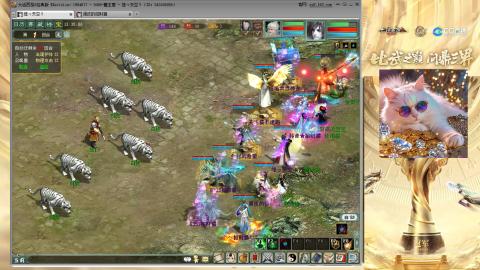 毒十女人欢迎踢馆