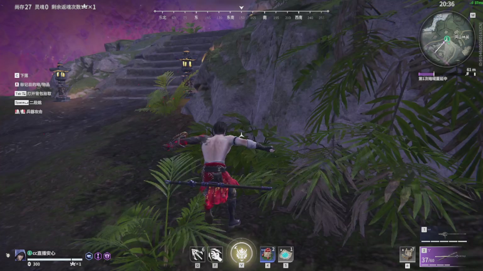 卿梦安心的直播间