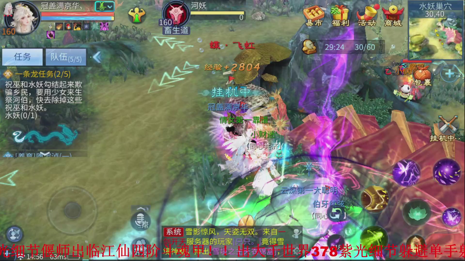 接全职业打造//指挥/比武/接全职托管