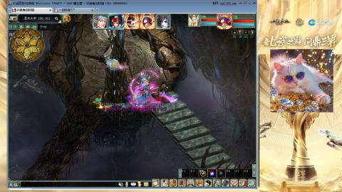 毒十女人欢迎踢馆