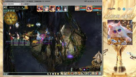 毒十女人欢迎踢馆