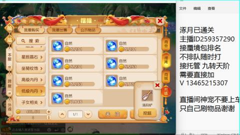 接九转蜃境托管~