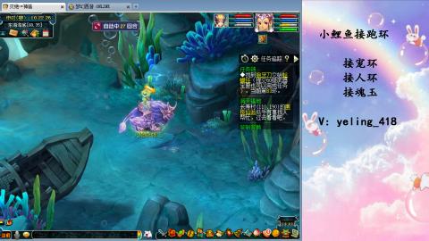 接命魂之玉 人环 宠环