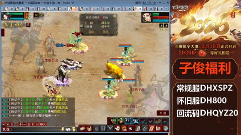 <2026>新手码：DHXSPZ