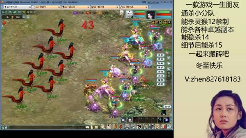 无属性双盘小分队