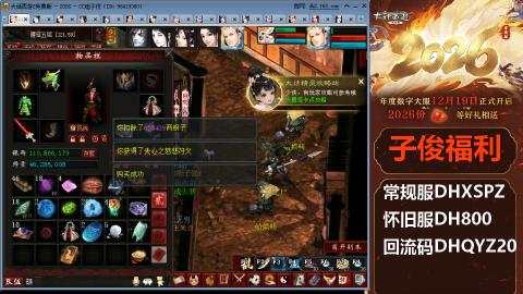 <2026>新手码：DHXSPZ