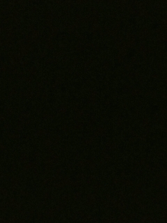 美貌与智慧并存，颜值与才华齐飞