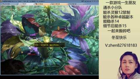 无属性双盘小分队