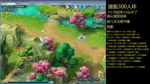 135飞升跑环平民的选择