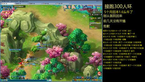 135飞升跑环平民的选择