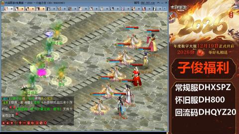 <2026>新手码：DHXSPZ