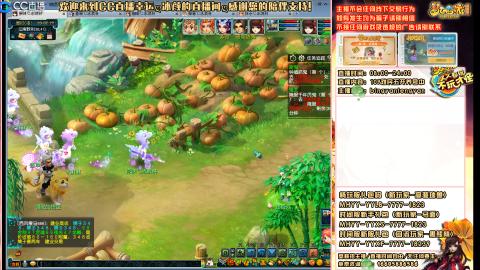 陕西区大雁塔从0起步到飞升......