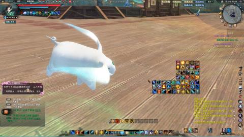 新手魂剑，又菜又爱玩！