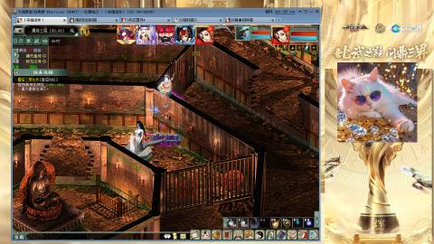 毒十女人欢迎踢馆