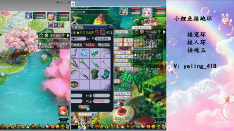 接命魂之玉 人环 宠环