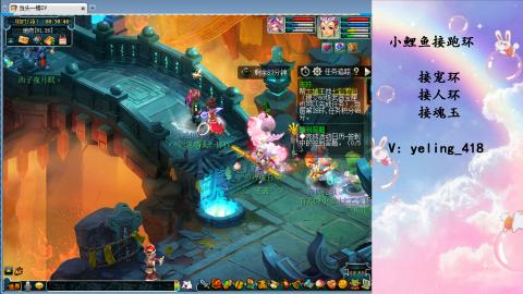 接命魂之玉 人环 宠环